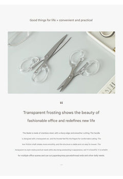 stainless steel scissors showcased with clear visibility
