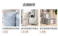 Seasonal storage bags perfect for home use