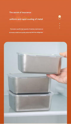 Food freshness container in elegant design