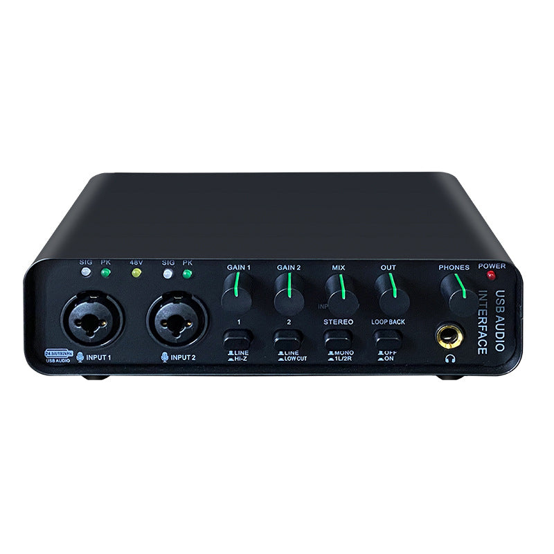 Portable audio interface for musicians
