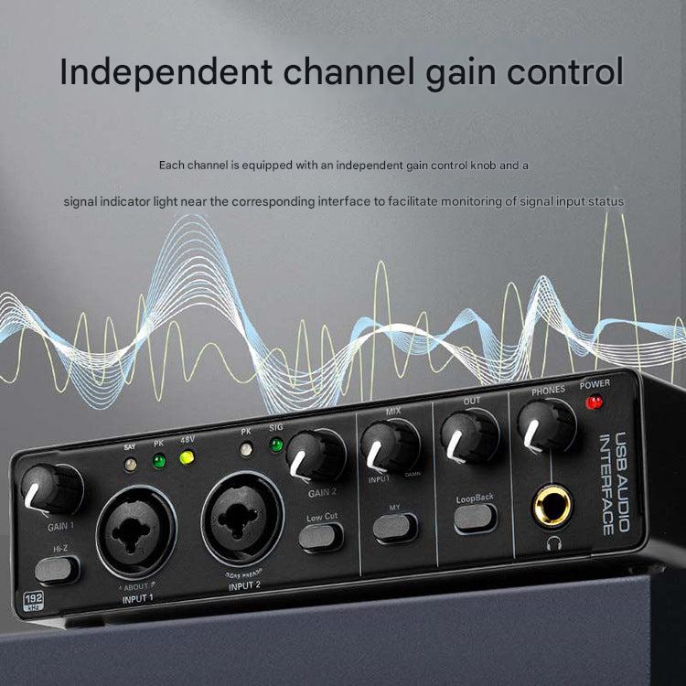 Professional USB audio interface side view