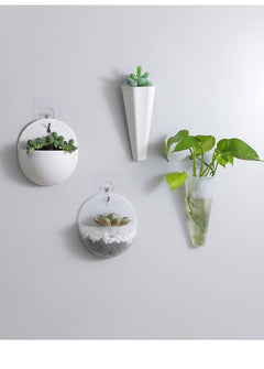 Half-circle wall planter featuring vibrant succulents