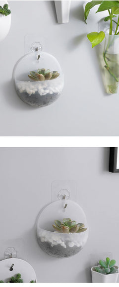 Half-circle wall planter featuring vibrant succulents