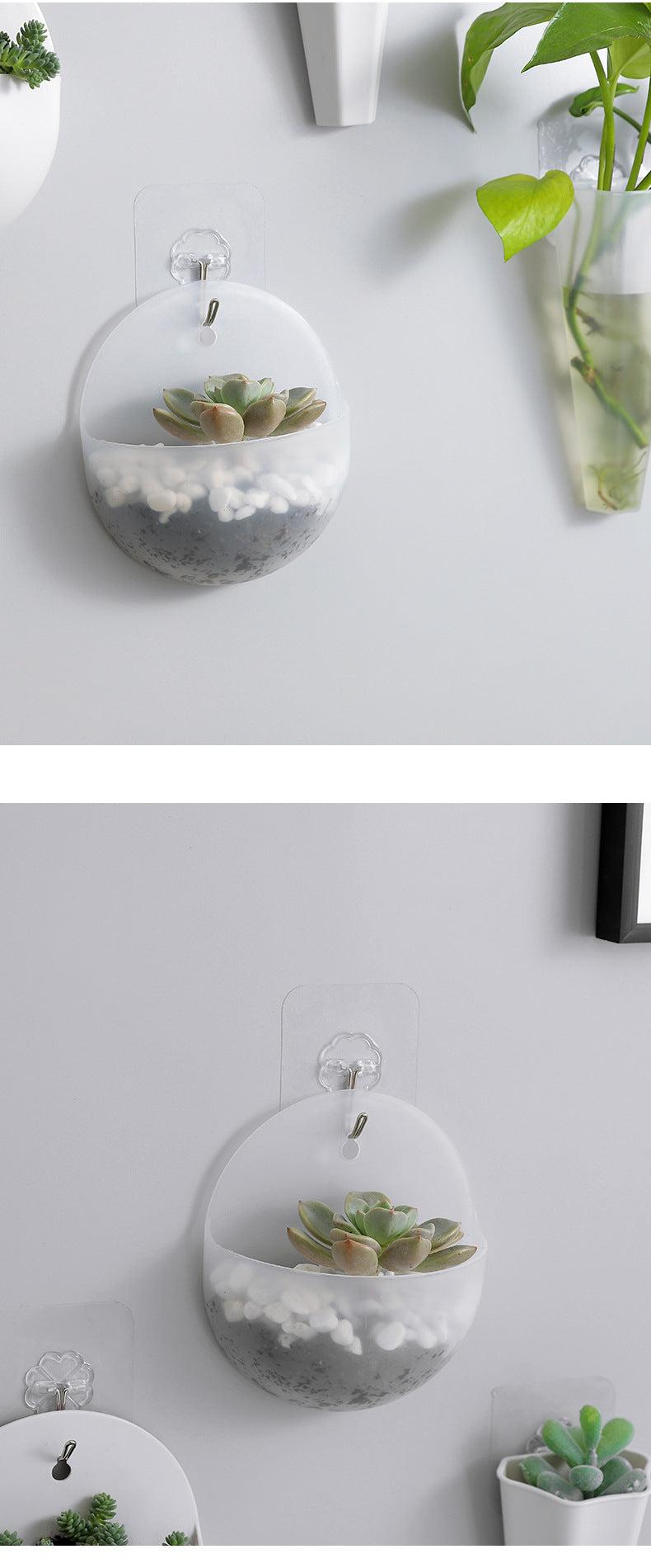 Half-circle wall planter featuring vibrant succulents