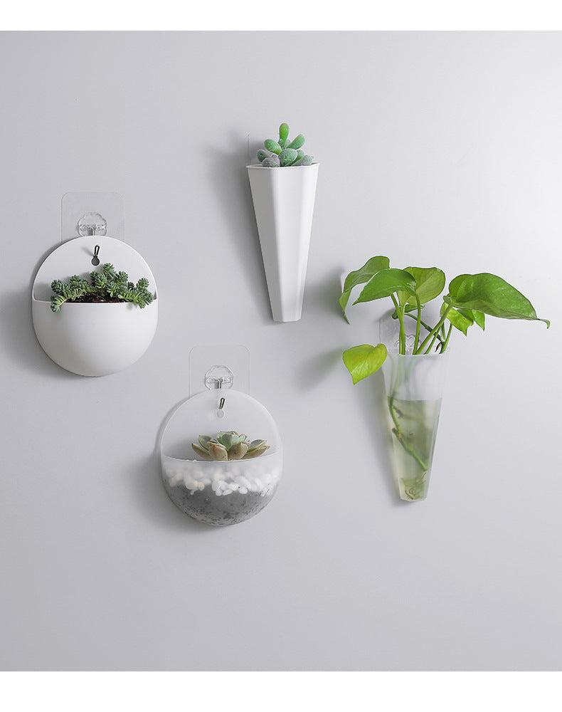 Rectangular planter displaying beautiful herbs