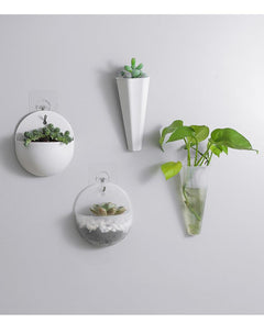 Rectangular planter displaying beautiful herbs