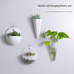 Close-up of a durable plastic indoor planter