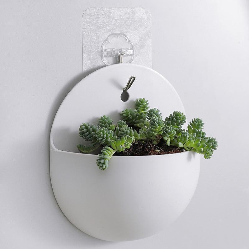 Half-circle wall planter featuring vibrant succulents