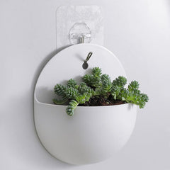Half-circle wall planter featuring vibrant succulents