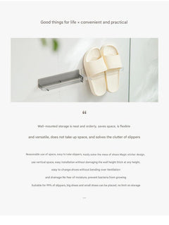 wall-mounted shoe organiser with various shoes