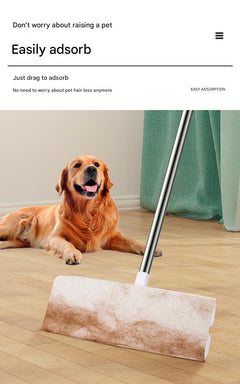 Mop Standing on Floor for Display