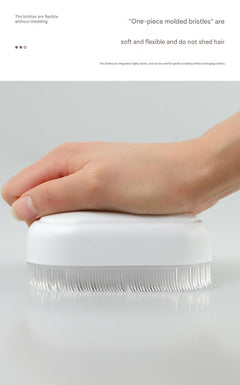 Cleaning brush suitable for collars and undergarments