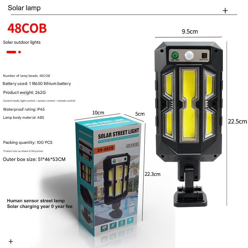motion sensor solar light illuminating pathway