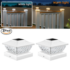Daytime view of Dual Colour Solar Garden Light