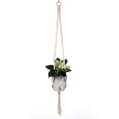 stylish plant decoration accessory image 10