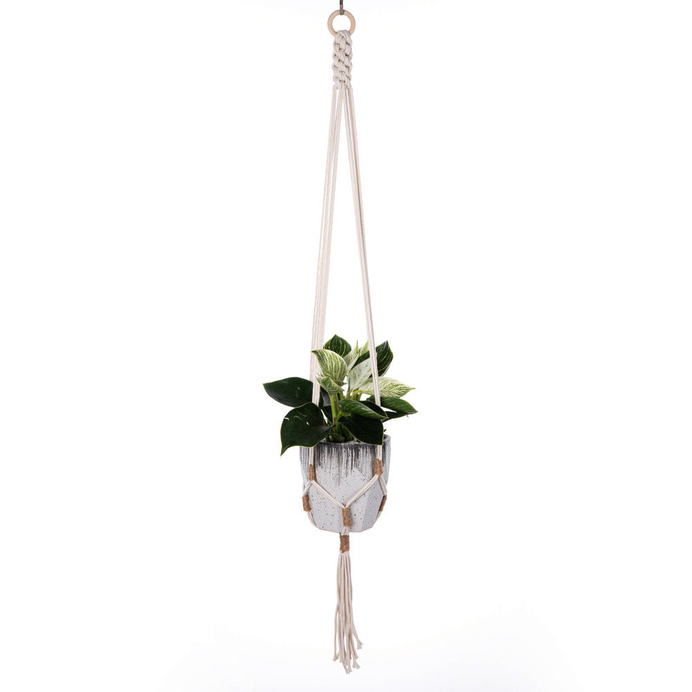 stylish plant decoration accessory image 10