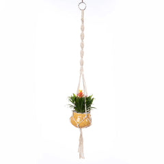 trendy hanging planter image 9