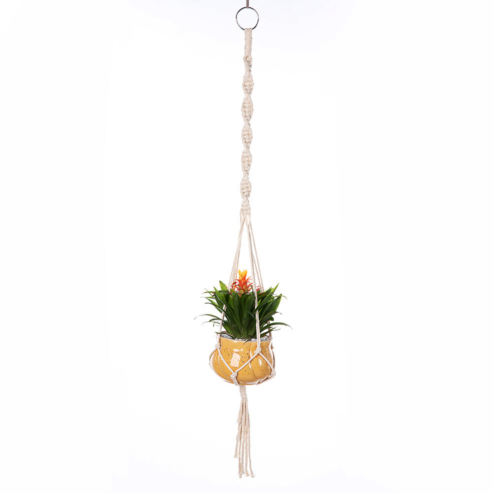 trendy hanging planter image 9