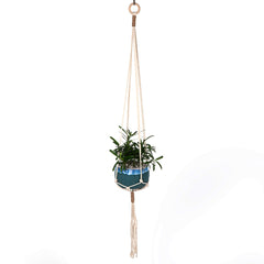 artistic wall decor for plants image 4