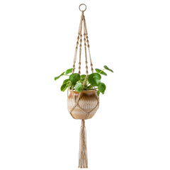 decorative hanging plant display image 5