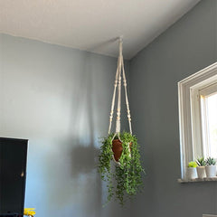 indoor plant holder image 3