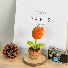 Realistic succulent display for events