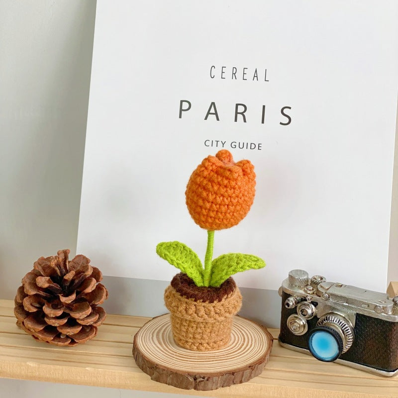 Realistic succulent display for events