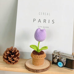 Fresh look of artificial succulent plant