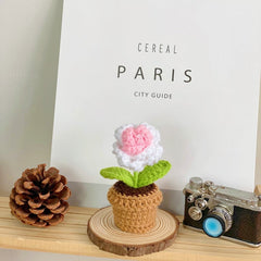 Elegant potted plant in home office