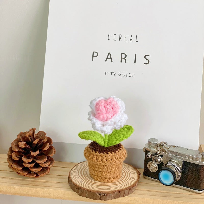 Elegant potted plant in home office