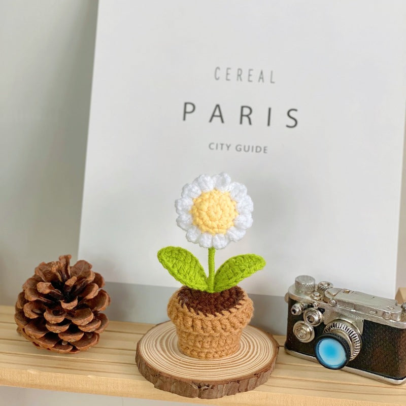 Realistic succulent display for events