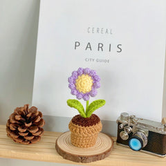 Fresh look of artificial succulent plant