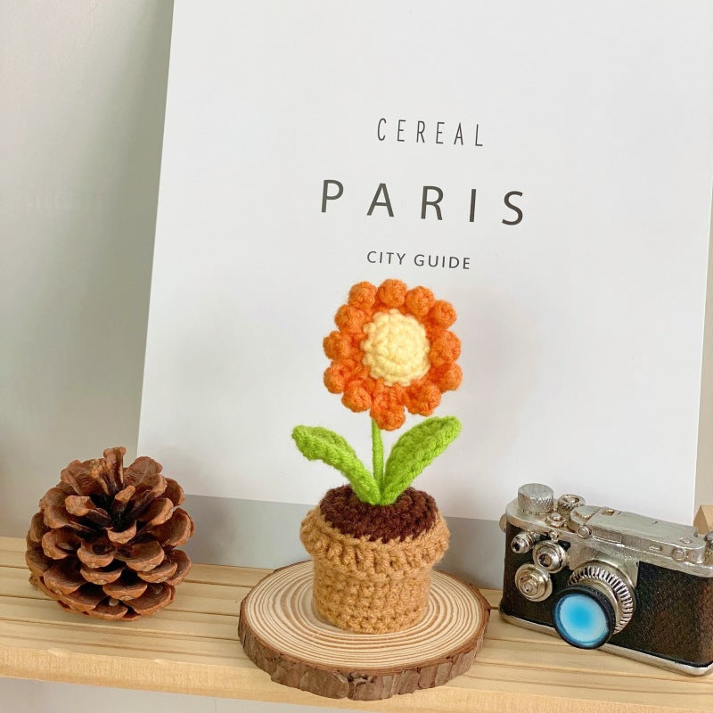 Realistic succulent potted plant front view