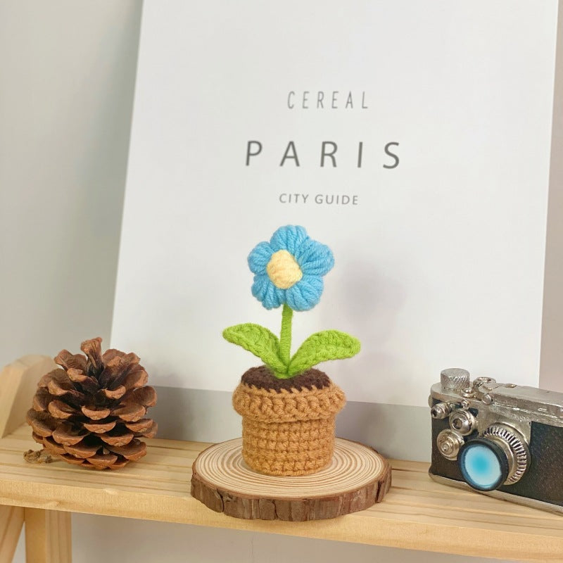 Succulent plant in decorative pot