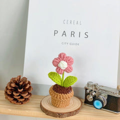 Artificial succulent arrangement on table