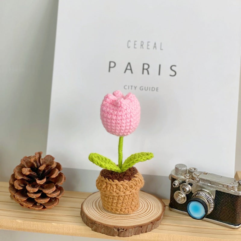 Elegant potted plant in home office