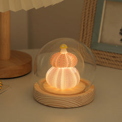 Unique design of shell night light