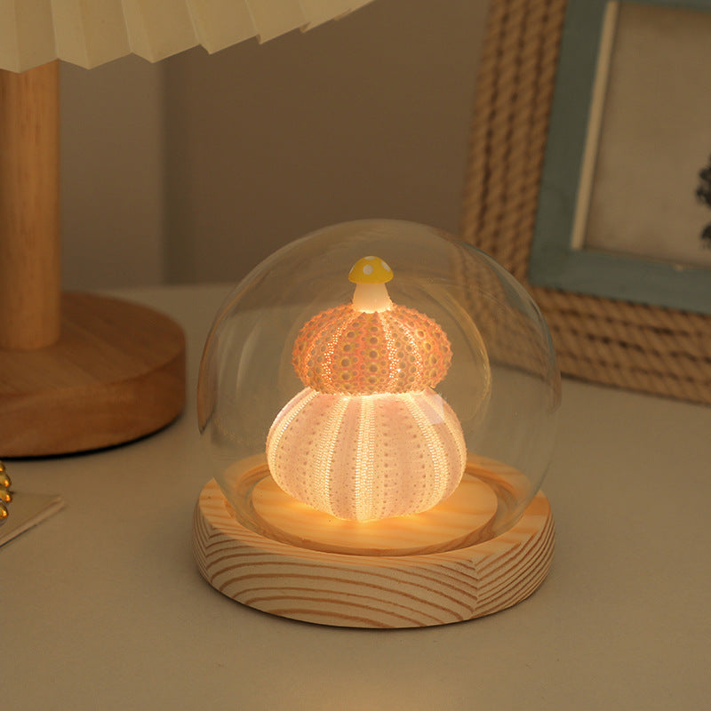 Unique design of shell night light