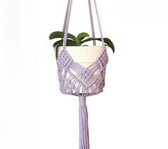 Decorative net plant bag for stylish home gardening