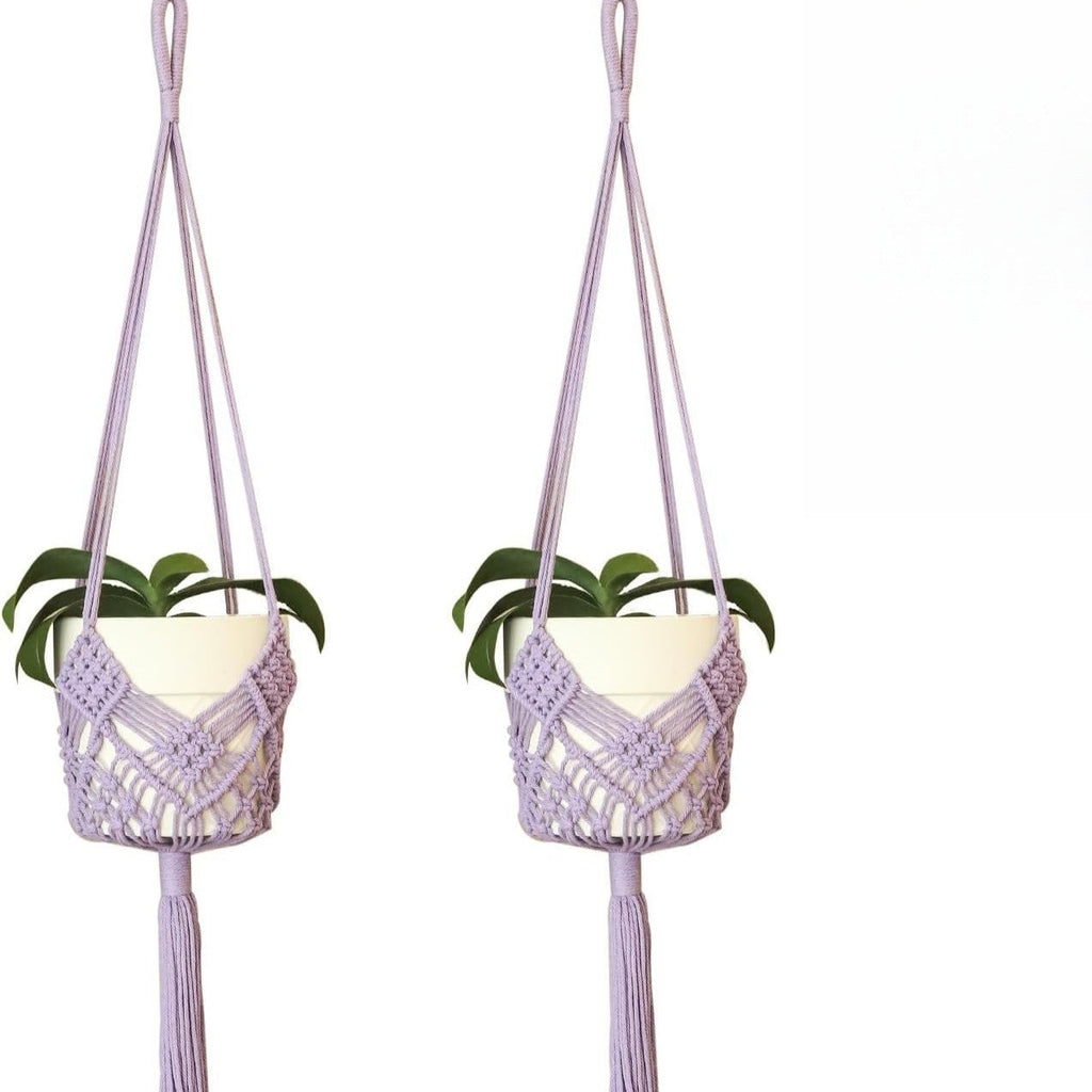 Hanging plant basket showcasing beautiful succulents