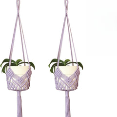 Hanging plant basket showcasing beautiful succulents