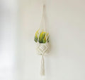Unique plant display ideas with suspended baskets