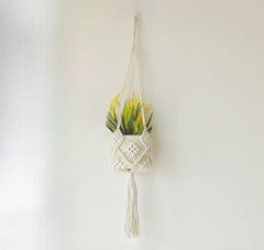 Unique plant display ideas with suspended baskets