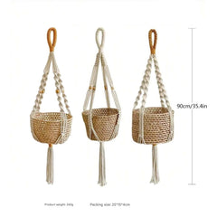 Multiple plant display options with hanging basket