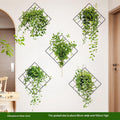 Wide view of stylish green plant baskets